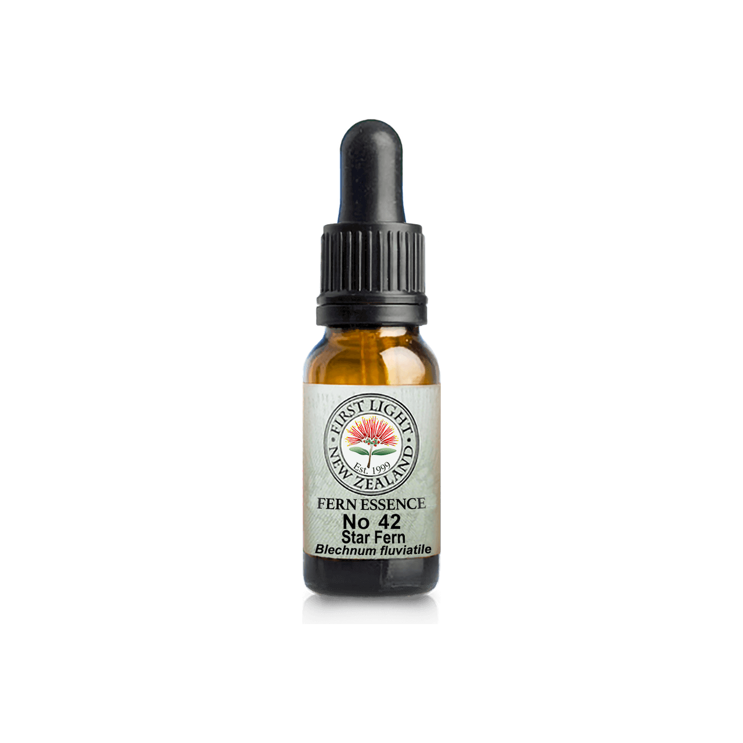 No. 42 - Star Fern (Authenticity) 10ml