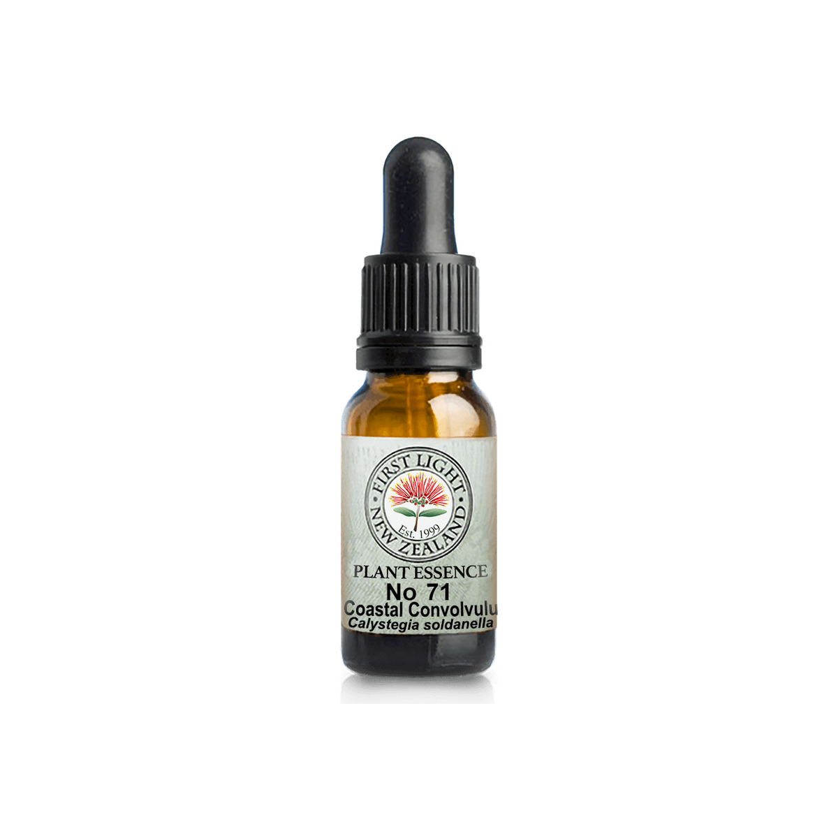 No. 71 - Coastal Convolvulus (Reflection) 10ml