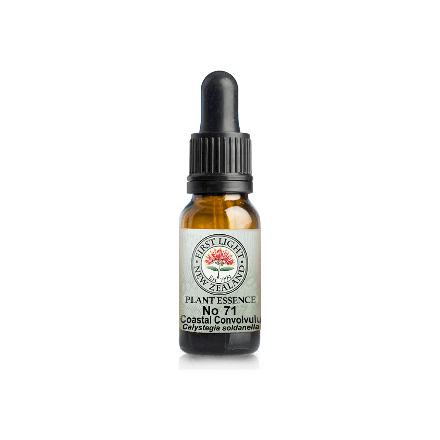 No. 71 - Coastal Convolvulus (Reflection) 10ml