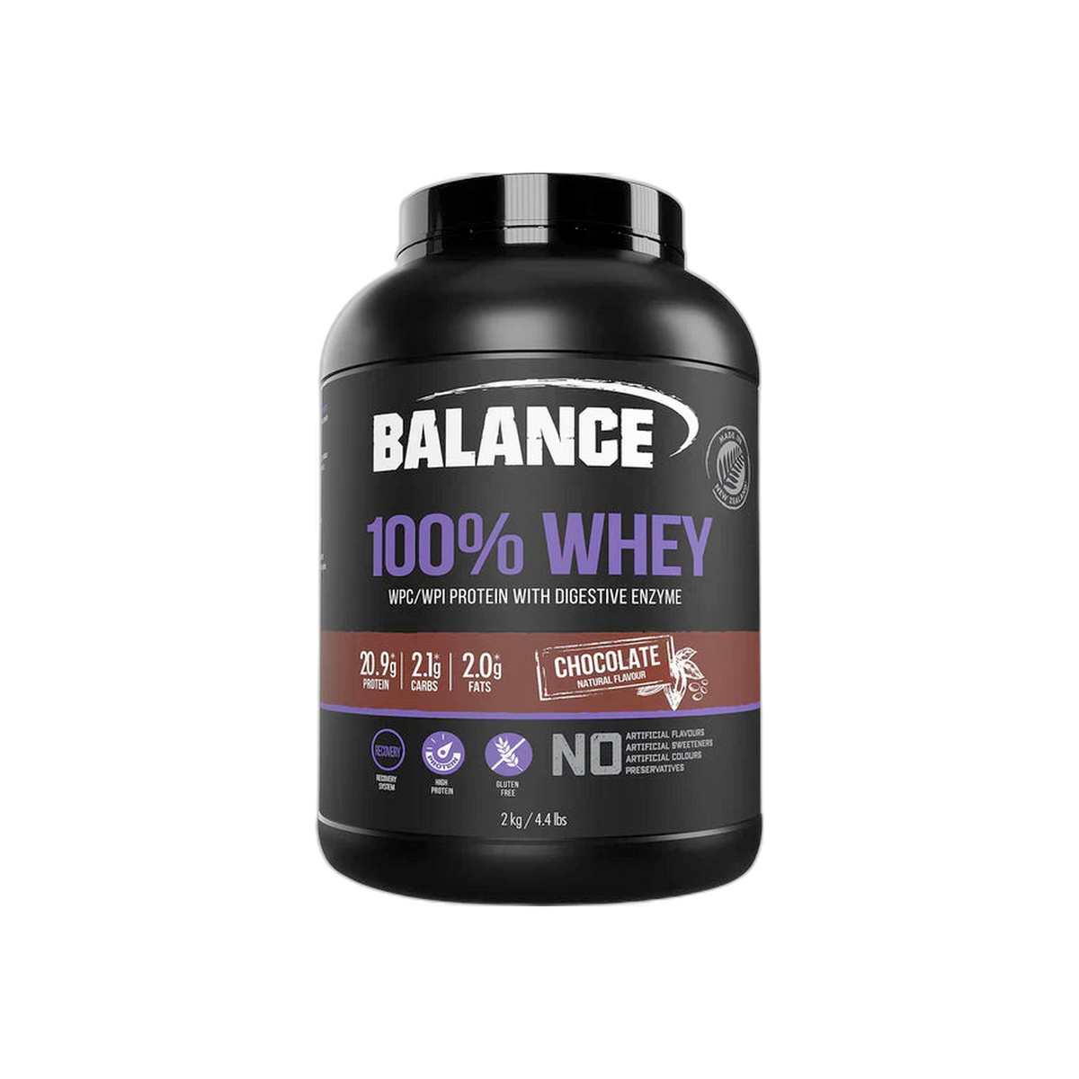 100% Whey Protein Powder