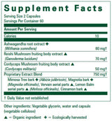 Text listing the ingredients including Ashwaganda root, Withania somnifera, Reishi Mushroom, Ganoderma lucidum, Cordyceps Mushroom, Cordyceps mlitaris, Mimosa tree bark, Albizia julibrissin, magnolia bark, Mangolia officinalis, Vervain aerial parts, Lemon Balm, Melissa officinalis, Cinnamin bark.