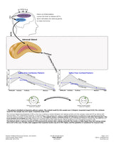 Sample report page 1