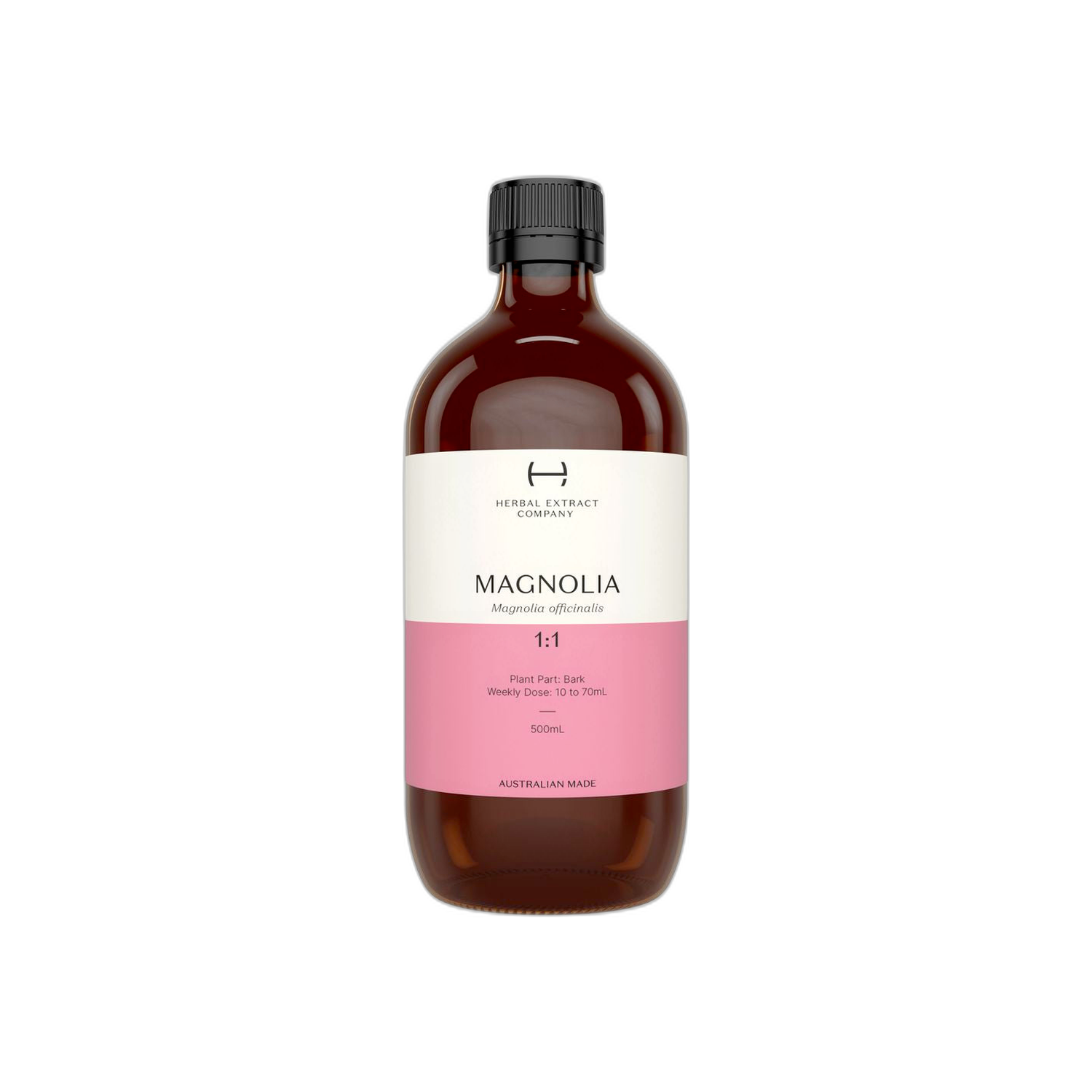Magnolia 1:1