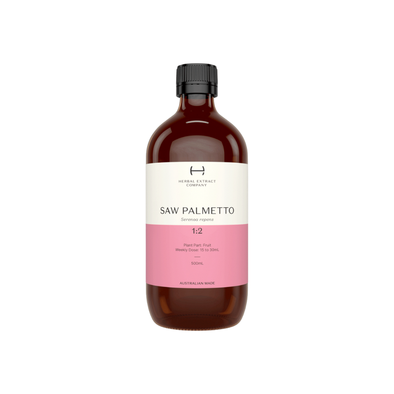 Saw Palmetto 1:2