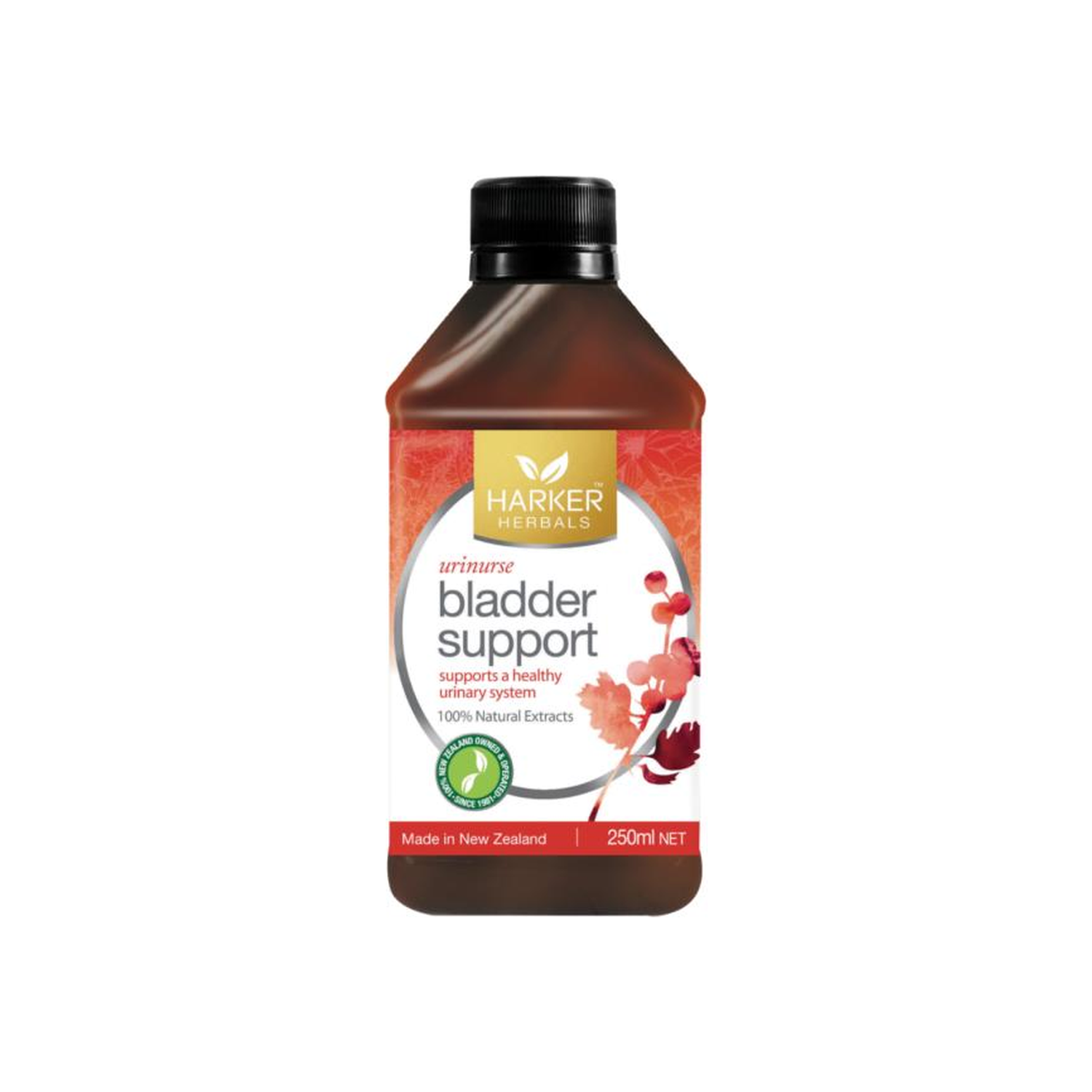 Bladder Support