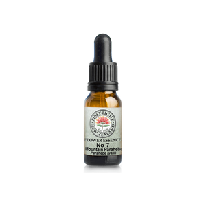 No. 07 - Mountain Parahebe (Communication) 10ml