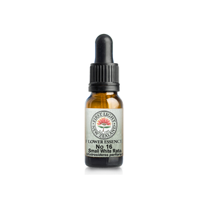 No. 16 - Small White Rata (Perfection) 10ml
