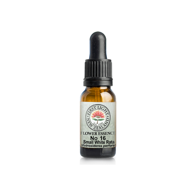 No. 16 - Small White Rata (Perfection) 10ml