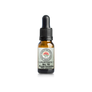 No. 18 - Purple Koromiko (Simplicity) 10ml