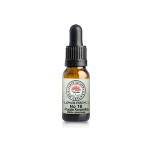 No. 18 - Purple Koromiko (Simplicity) 10ml