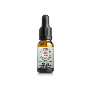 No. 35 - Creeping Pratia (Empathy) 10ml