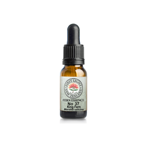 No. 37 - King Fern (Security) 10ml
