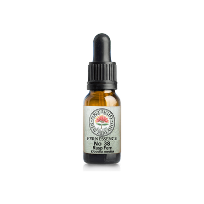 No. 38 - Rasp Fern (Boundaries) 10ml