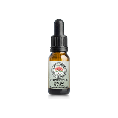 No. 42 - Star Fern (Authenticity) 10ml