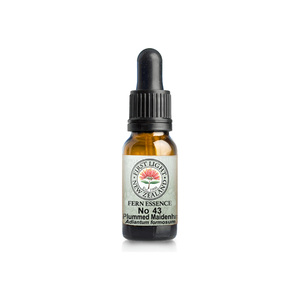 No. 43 - Plumed Maidenhair Fern (Direction) 10ml