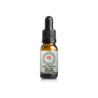No. 44 - Kahikatea (Structure) 10ml
