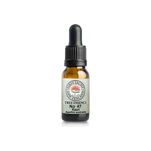 No. 47 - Kauri (Beauty) 10ml