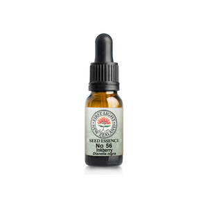 No. 56 - Inkberry (Inner Vision) 10ml