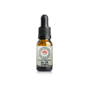 No. 66 - Rangiora (Masculine Power) 10ml