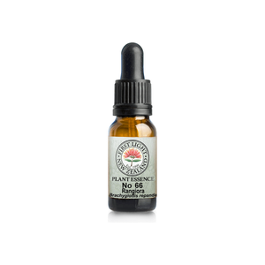 No. 66 - Rangiora (Masculine Power) 10ml