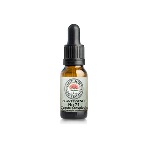No. 71 - Coastal Convolvulus (Reflection) 10ml
