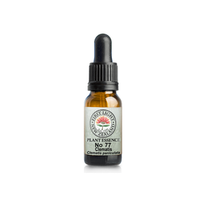 No. 77 - Clematis (White Light Protection) 10ml