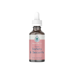 Genesis Safety and Security