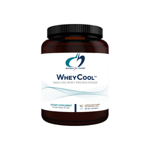 A supplement container of WheyCool Protein Powder (Chocolate) (Discontinued) by Designs for Health - USA
