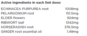 Supplement facts for Sinus Clear listing ingredients including Echinacea Angustifolia, Echinacea purpurea, Ginger, Zingiber officinale