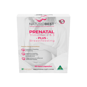Prenatal Trimester 2 & 3 Plus Breastfeeding