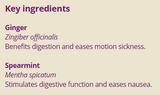 Supplement facts for Morning Balance 10ml listing ingredients including Ginger, Ginger (Zingiber officinale), Spearmint (Mentha spicata), Zingiber officinale
