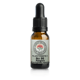 A supplement container of No. 66 - Rangiora (Masculine Power) 10ml by First Light Flower Essences