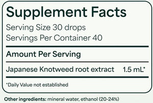 Japanese Knotweed