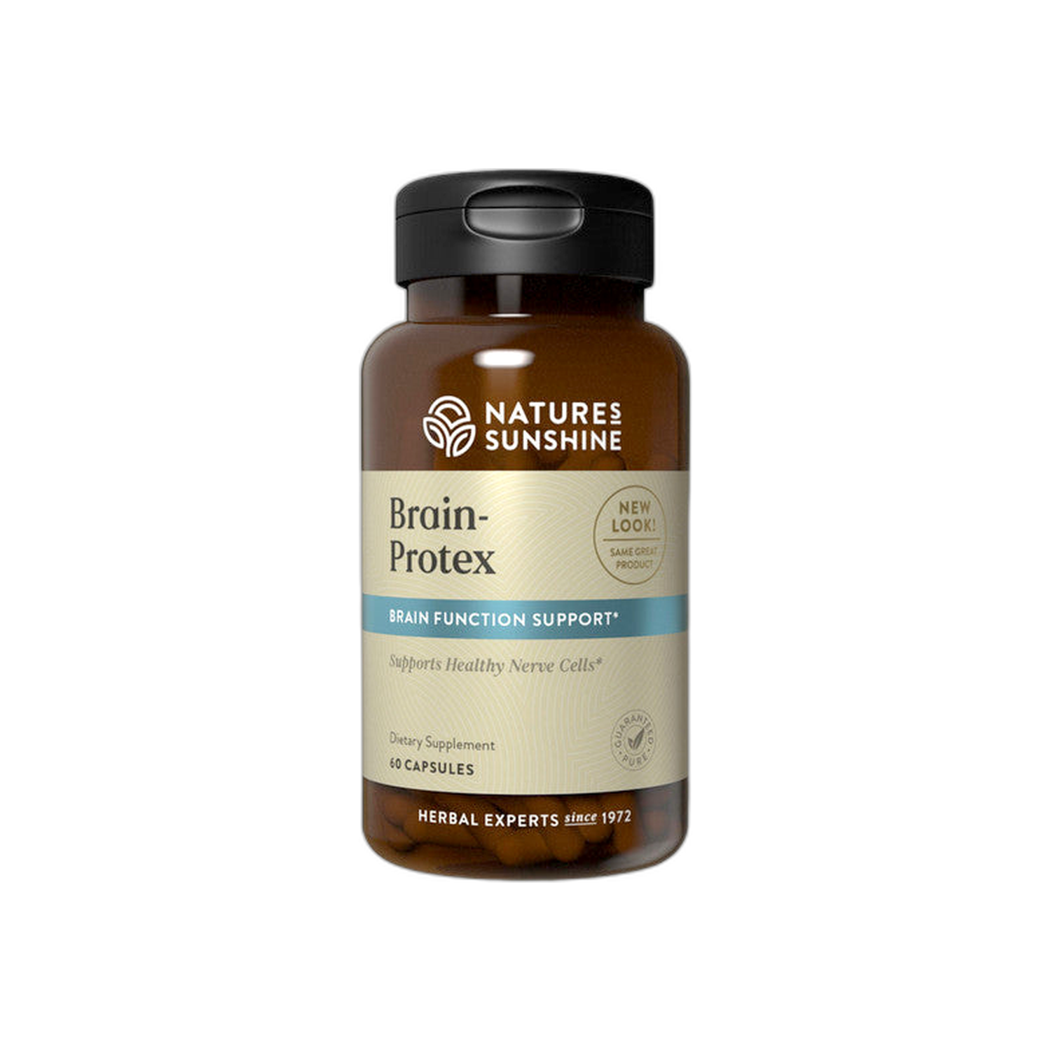 Brain Protex