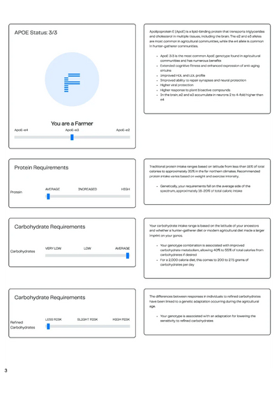 An example report showing different macronutrient metabolism